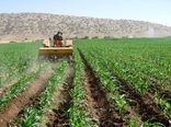 جذب تسهیلات ۴ درصدی خرید ادوات کشاورزی برای کشاورزان کردستانی