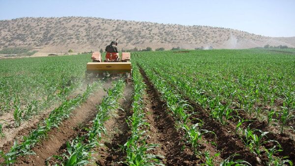 جذب تسهیلات ۴ درصدی خرید ادوات کشاورزی برای کشاورزان کردستانی