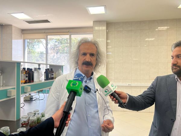 افزایش 360 هزار تنی تولید خرما در سال به کمک رقم مجول