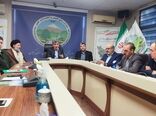 طرح کاشت یک میلیارد درخت در کشور از جنگل‌های گیلان آغاز می‌شود