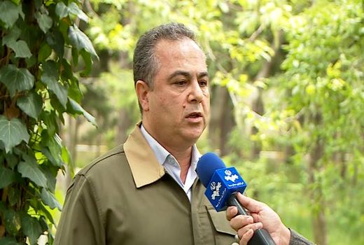 حضور دو برابر ظرفیت شترها در مراتع کویری