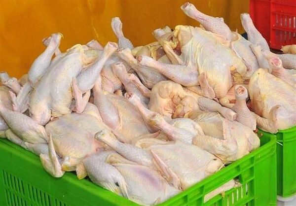 قیمت مرغ در کهگیلویه و بویراحمد تعیین شد
