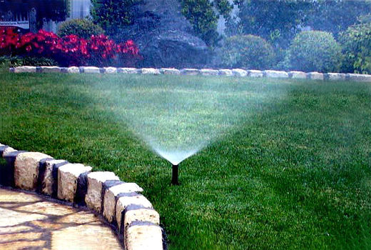 زیان‌های چمن جدی است