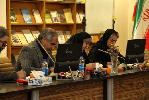 پروژه جدید فائو/  راهکارهای نوین برای حفظ نخلستان‌های ایران تلفیق می‌شوند