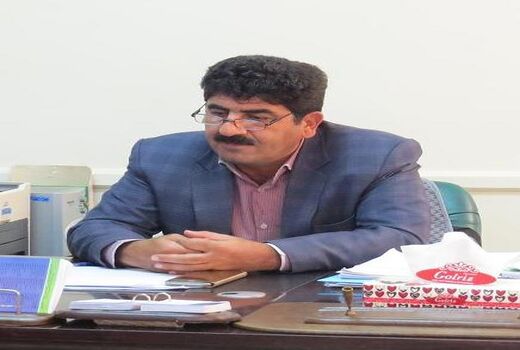 برداشت کلزا از مزارع گرمسیری استان ایلام شهرستان دهلران