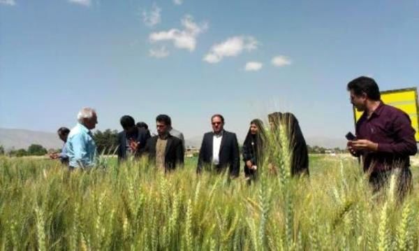 تقسیم مراکز جهاد کشاورزی سیستان و بلوچستان به 84 پهنه در طرح نظام نوین ترویج