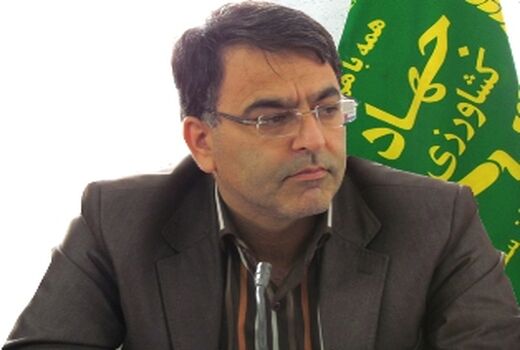 8 سایت الگویی ترویجی در سطح استان سمنان در حال اجرا است