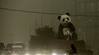 آلودگی هوا در حال نابودی اکوسیستم مهم چین است