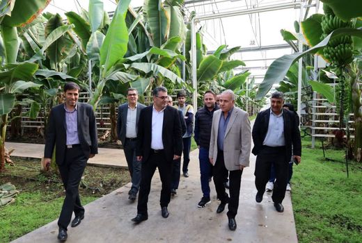 شرکت ارس تارلا امیر، الگویی ملی در توسعه گلخانه‌های مدرن کشور است