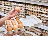 تولیدکنندگان تخم مرغ: طی دو سال، تخم مرغ تنها ۴ درصد افزایش قیمت داشت