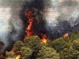 درخواست اشد مجازات برای آتش افروزان جنگل‌ها و مراتع به‌صورت عمد از قضات
