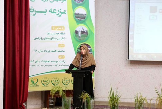 معرفی ارقام جدید برنج با عملکرد بالاتر و متناسب ذائقه ایرانیان