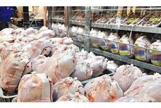 توزیع 12 تن گوشت قرمز و مرغ منجمد تنظیم بازاری در بابلسر