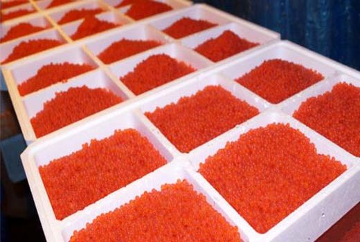 واردات تخم چشم‌زده ماهی قزل‌آلا  انحصاری نیست