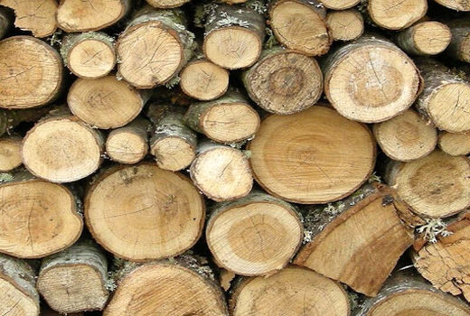 کشف ۹۴ تن چوب و زغال قاچاق در چهارمحال و بختیاری