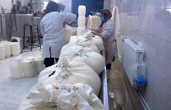 تشکیل صندوق‌های خرد محلی؛ هر روستا یک محصول