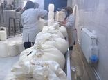 تشکیل صندوق‌های خرد محلی؛ هر روستا یک محصول