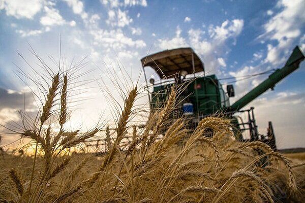 ارتقای ضریب خودکفایی در تولید محصولات استراتژیک همگام با افزایش بهره وری منابع آبی