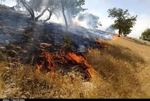 با دست خالی نمی توان آتش را خاموش کرد