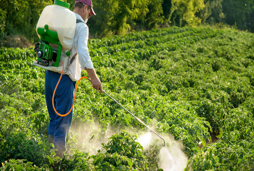 کاهش 7 درصدی استفاده از سموم کشاورزی در چهارمحال و بختیاری 