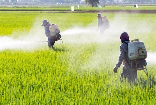 ضرورت جرم‌انگاری فروش آفتکش‌ها در فضای مجازی