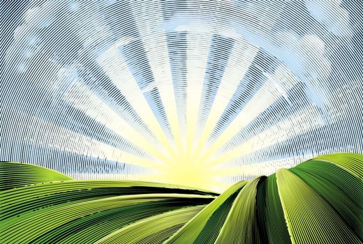 تاثیر کشاورزی در استفاده از کاتالیزورها