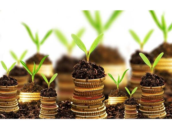 پرداخت 75 میلیارد تسهیلات به واحدهای کشاورزی نکا