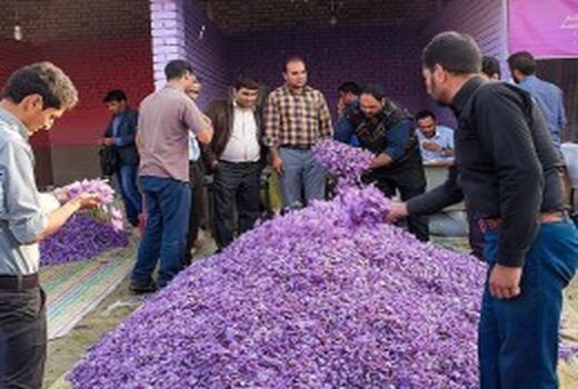 آغاز فعالیت بازارچه زعفران از امروز در فاروج