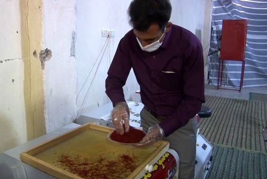 تالار گل زعفران شکفته شد