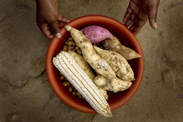 10 عنصر زیستی برای امنیت غذایی پایدار