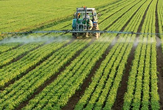 ضرورت تشکیل زنجیره تولید کشاورزی فراسرزمینی 