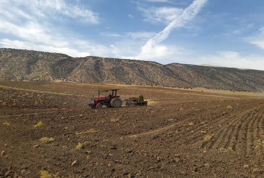 کاشت غلات پائیزه  در شهرستان سیروان