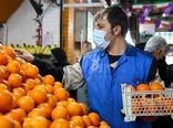 هیچ کمبودی در تأمین میوه نداریم/ گرانی میوه ناشی از ضعف نظارت بر خرده‌فروشی‌هاست