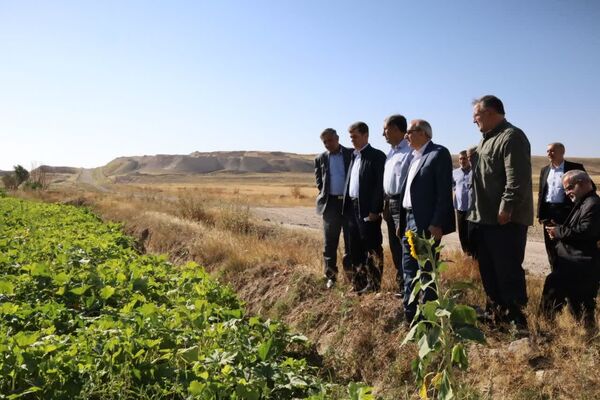 توسعه کشت قراردادی یکی از راهکارهای مؤثر برای کاهش ریسک تولید