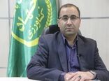 تامین بیش از ۵۰درصد بذر گندم آبی و دیم مورد نیاز کشت گندم استان