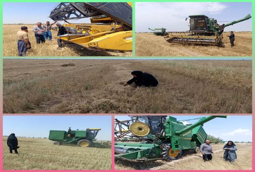 نظارت اکیپ‌های برداشت بر کمباین‌ها در هندیجان