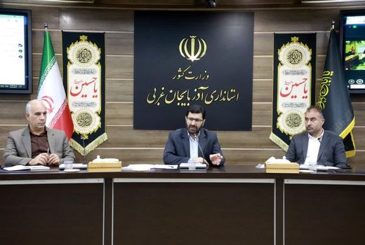 پیش‌بینی تولید نزدیک به یک میلیون تن سیب درختی در آذربایجان‌غربی