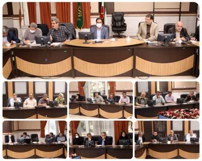 نشست معارفه مدیران پیشران پروژه‌های سازمان جهاد کشاورزی استان قزوین برگزار شد 