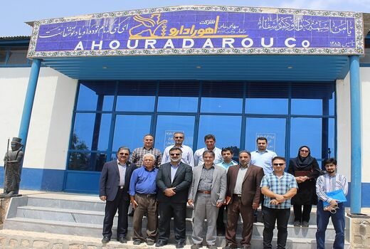 صادرات دمنوش گیاهی فارس به فرانسه