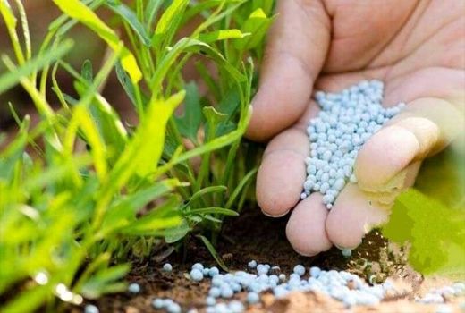 کنترل کیفی کودهای شیمیایی در استان بوشهر انجام می‌شود