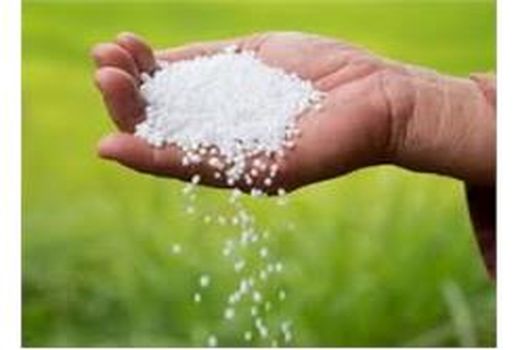 توزیع 1000 تن کود شیمیایی بین کشاورزان گلوگاهی