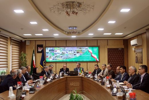 سهم ۳۴ درصدی بهبود مصرف آب در ارتقای بهره وری کشاورزی