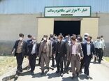 بازدید استاندار همدان از مراکز خرید تضمینی گندم شبکه تعاون روستایی شهرستان رزن 
