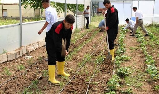 بسته «پرورش کشاورزان آینده» آماده است/ سهم آموزش کشاورزی باید افزایش یابد