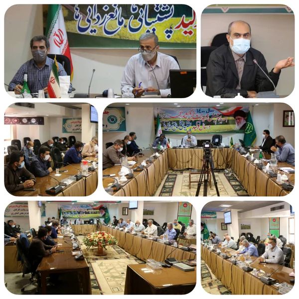 اعطای تسهیلات ارزان قیمت با هدف ترغیب کارگاه‌های خصوصی بسته‌بندی و فرآوری خرما در خوزستان