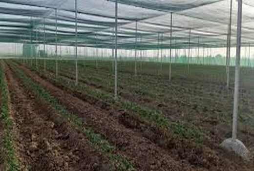 احداث گلخانه های تابع اقلیم  در شهرستان کوار