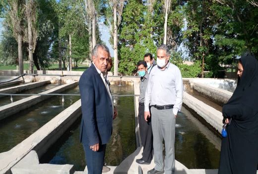 ایجاد فرصت های سرمایه گذاری و افزایش تولید  با توسعه طرح های پرورش آبزیان در استخرهای ذخیره کشاورزی