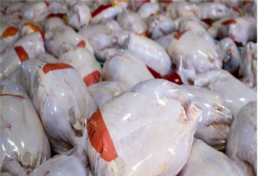 اجرای طرح تولید قراردادی گوشت مرغ در استان قزوین