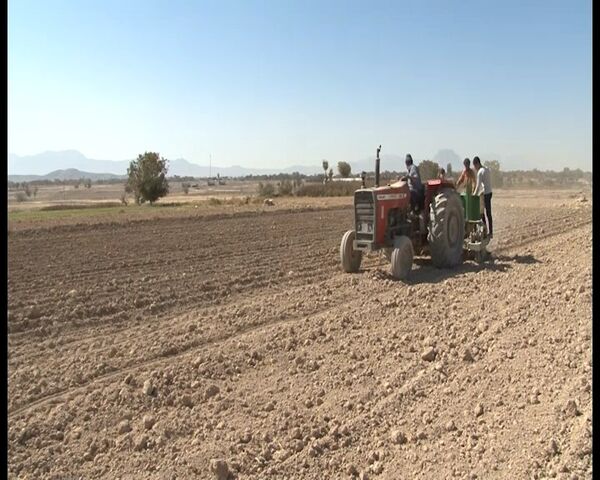 تیران و کرون، بزرگترین قطب تولید موسیر در کشور