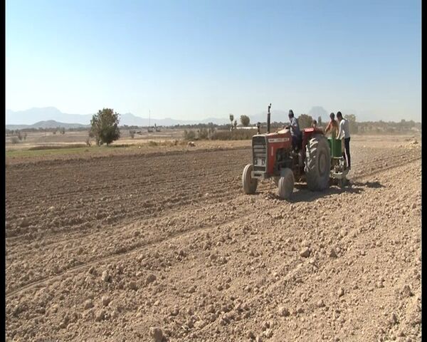 تیران و کرون، بزرگترین قطب تولید موسیر در کشور
